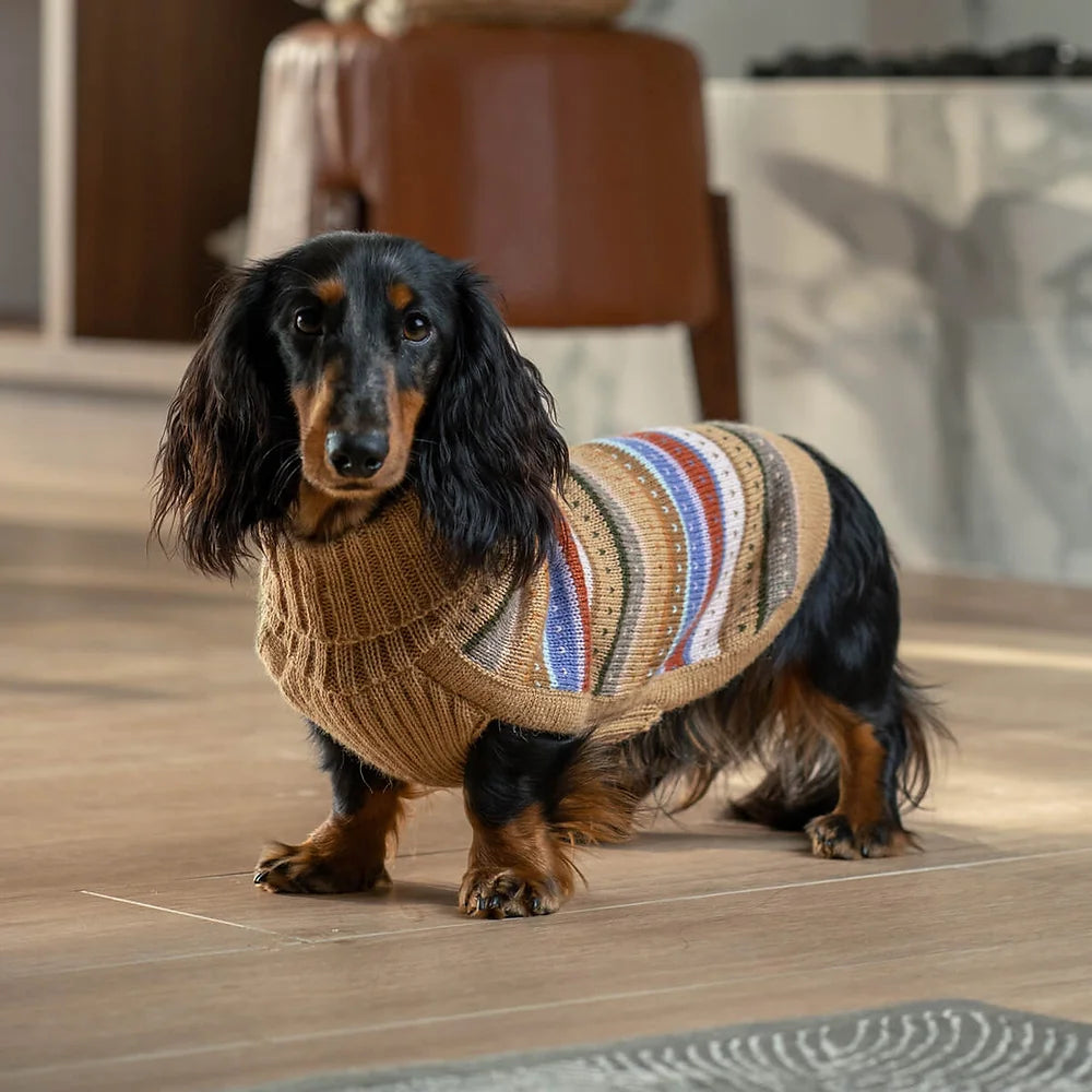 Tragebild Hundepullover Hella Autumn aus Alpaka - ALQO WASI