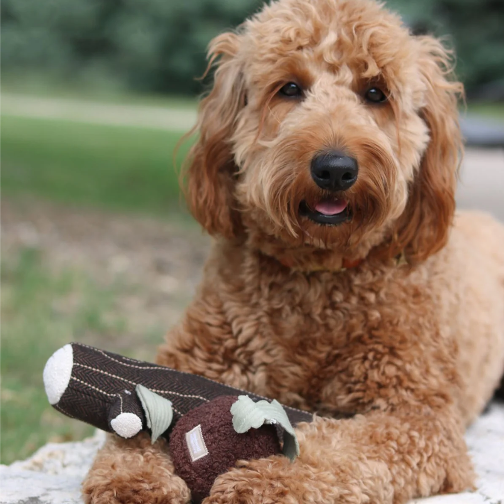 Hund mit Schnüffelspielzeug Holz FIRE LOG & Eichel ACORN - Lambwolf Collective