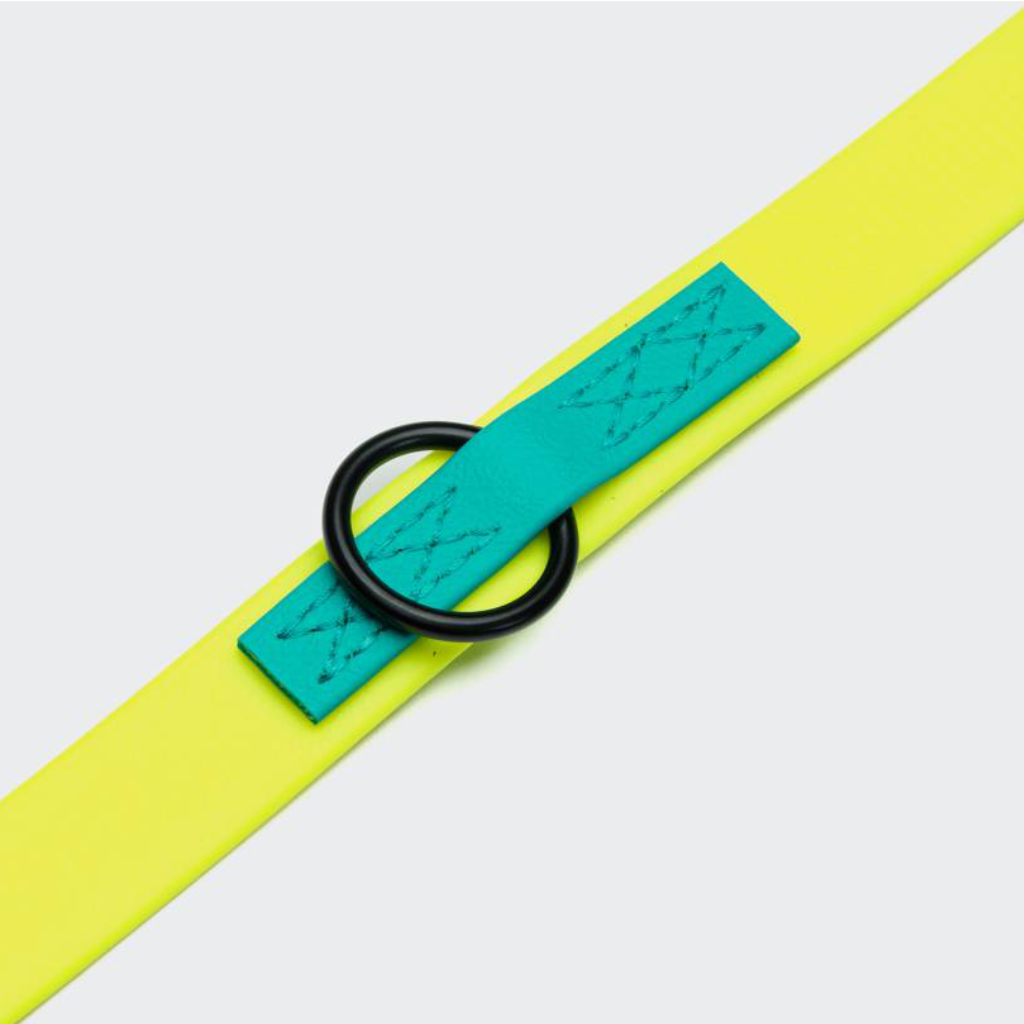 Details Cloud7 Hundeleine verstellbar BioThane Ipanema Neon-Yellow Aqua