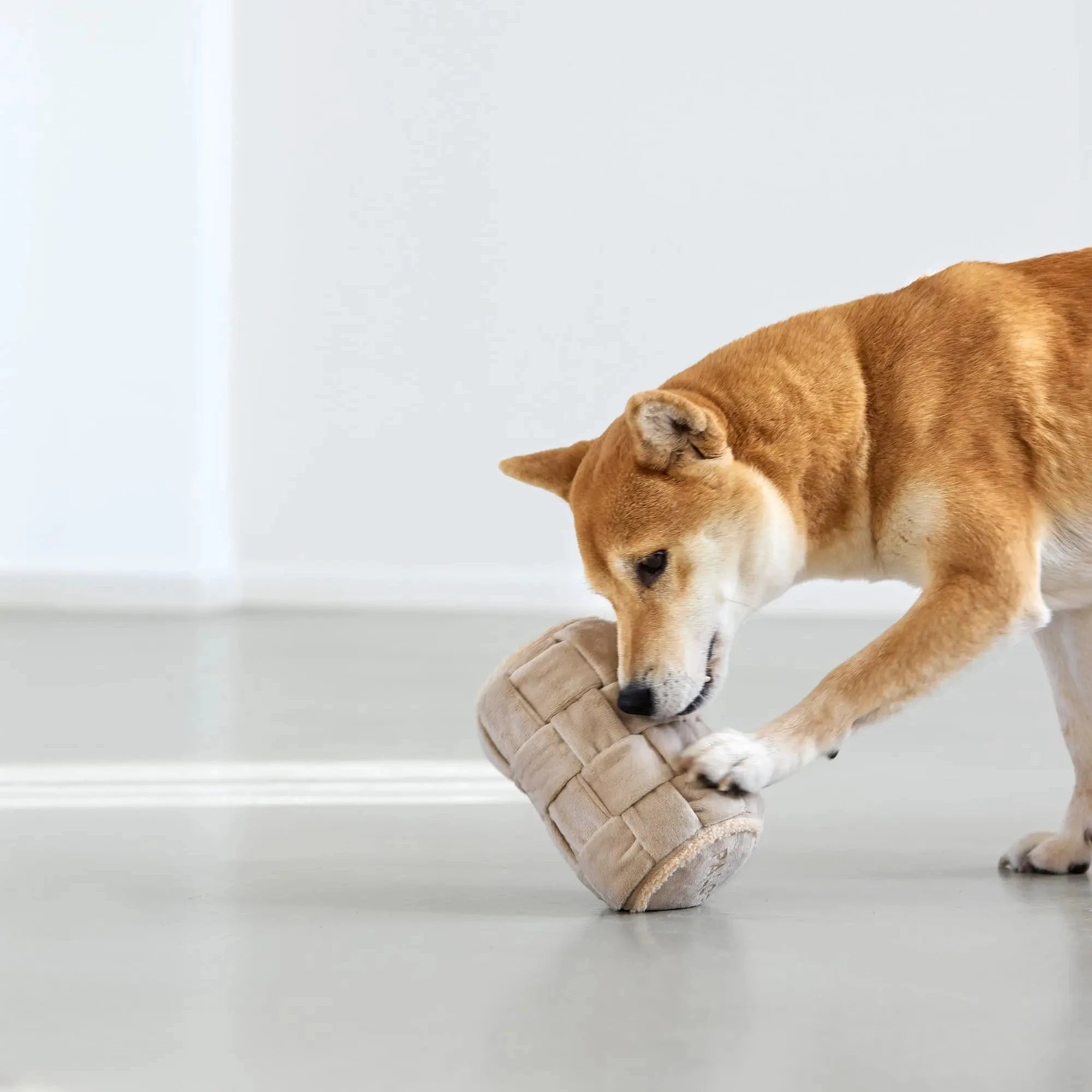 PALOPA Hundespielzeug KALPI Beige