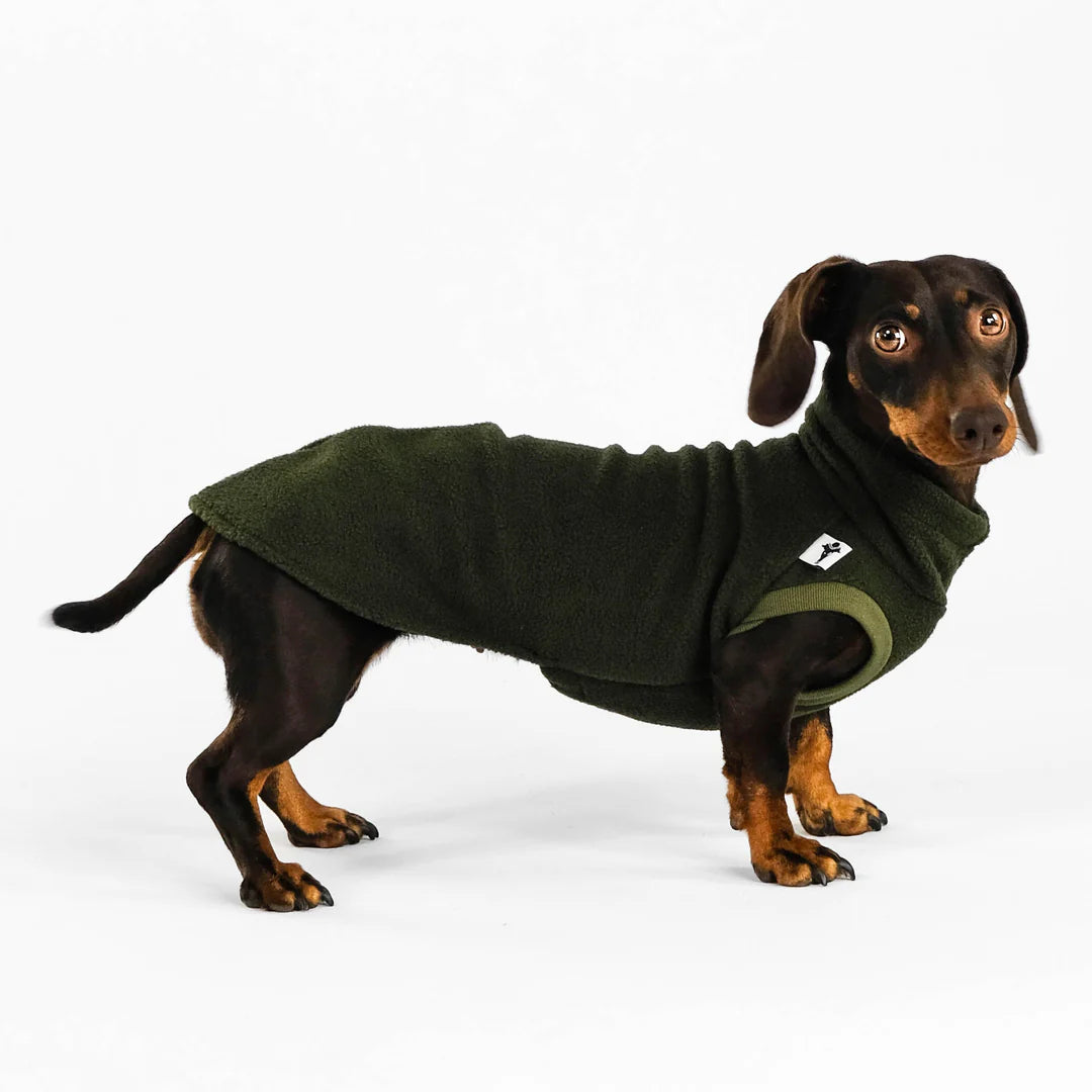 KARMA HUND Longshirt 2.0 für Dackel in Dark Olive