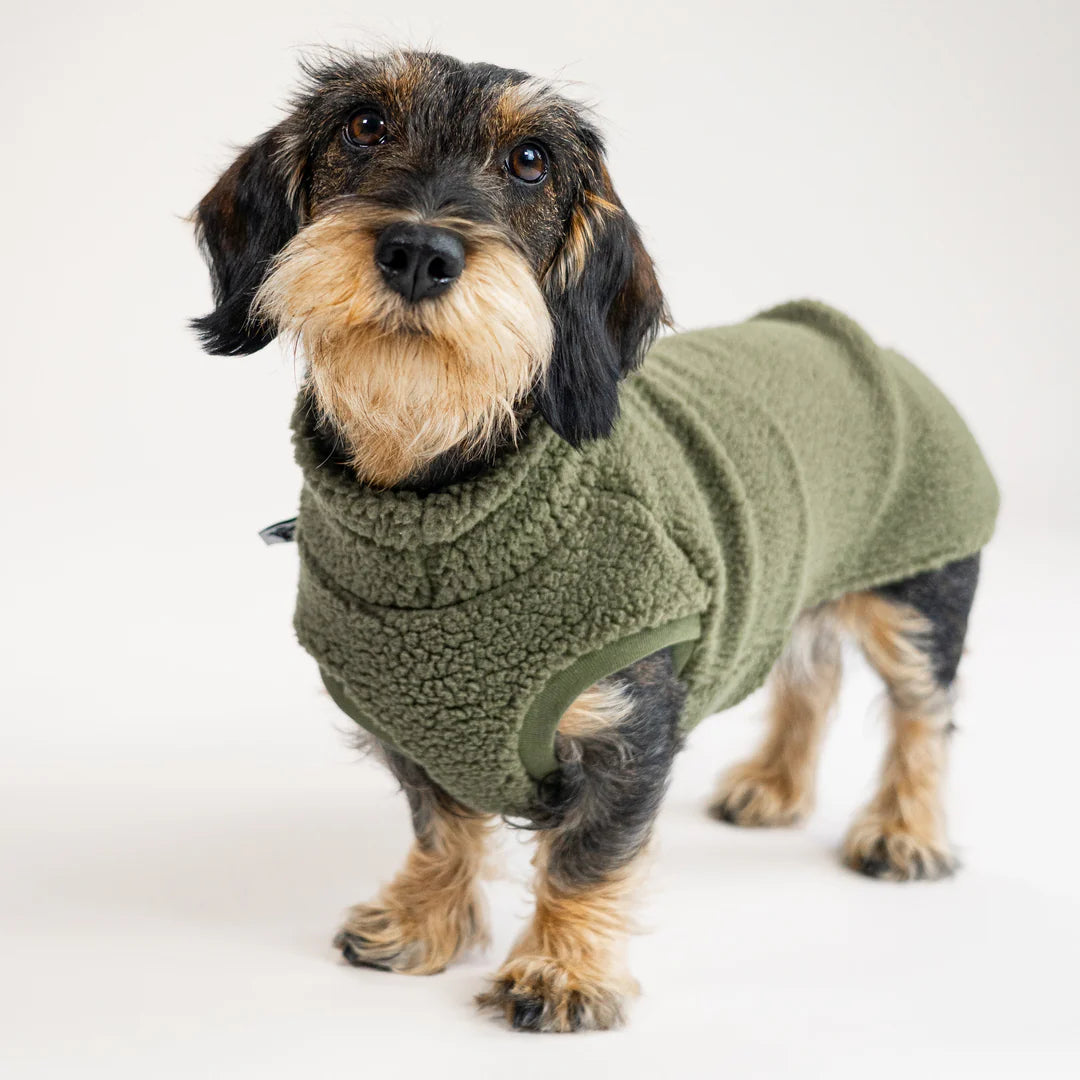 KARMA HUND Teddy Shirt 2.0 für Dackel in Dark Olive