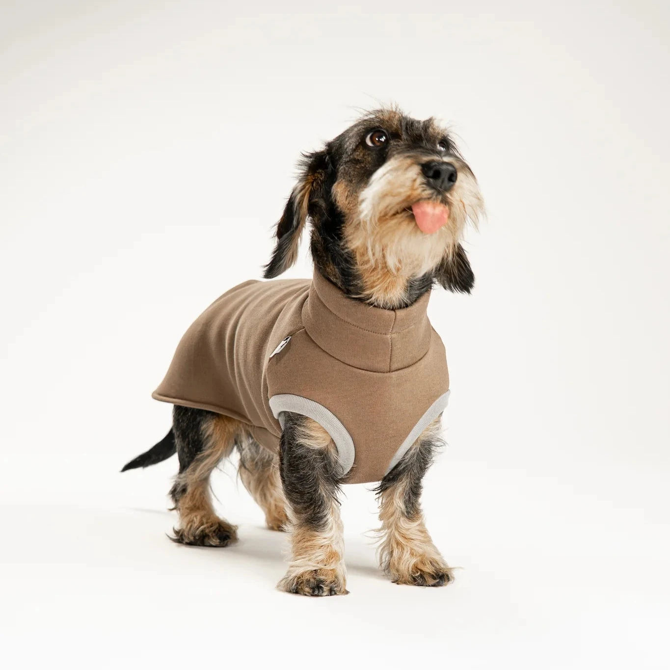 KARMA HUND Sweathirt 2.0 für Dackel in Mokka