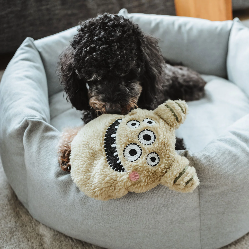 Hund mit Hundespielzeug Tough Monster Larry - HUNTER