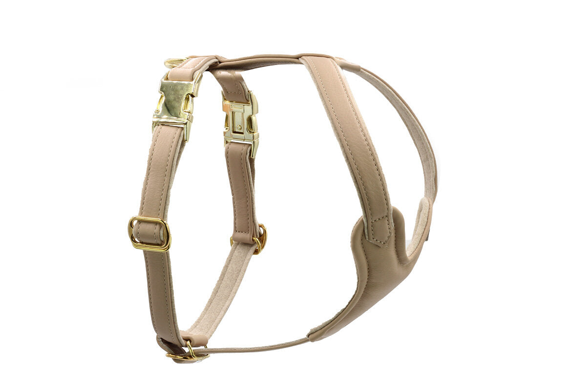 Hundegeschirr Leder Elfenbein Gold