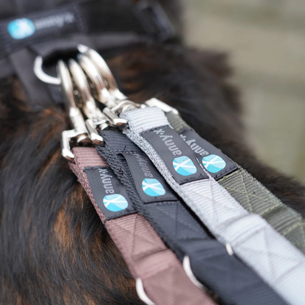 annyx Hundeleine Easy Fun