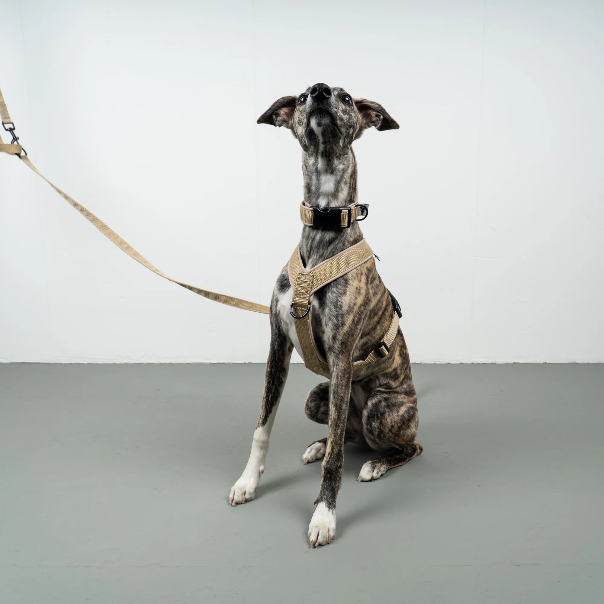 KARMA HUND Crossbody Leine Sand