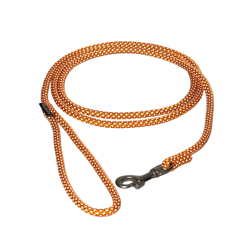 Leine Visibility Rope Leash Orange leuchtend - PAIKKA