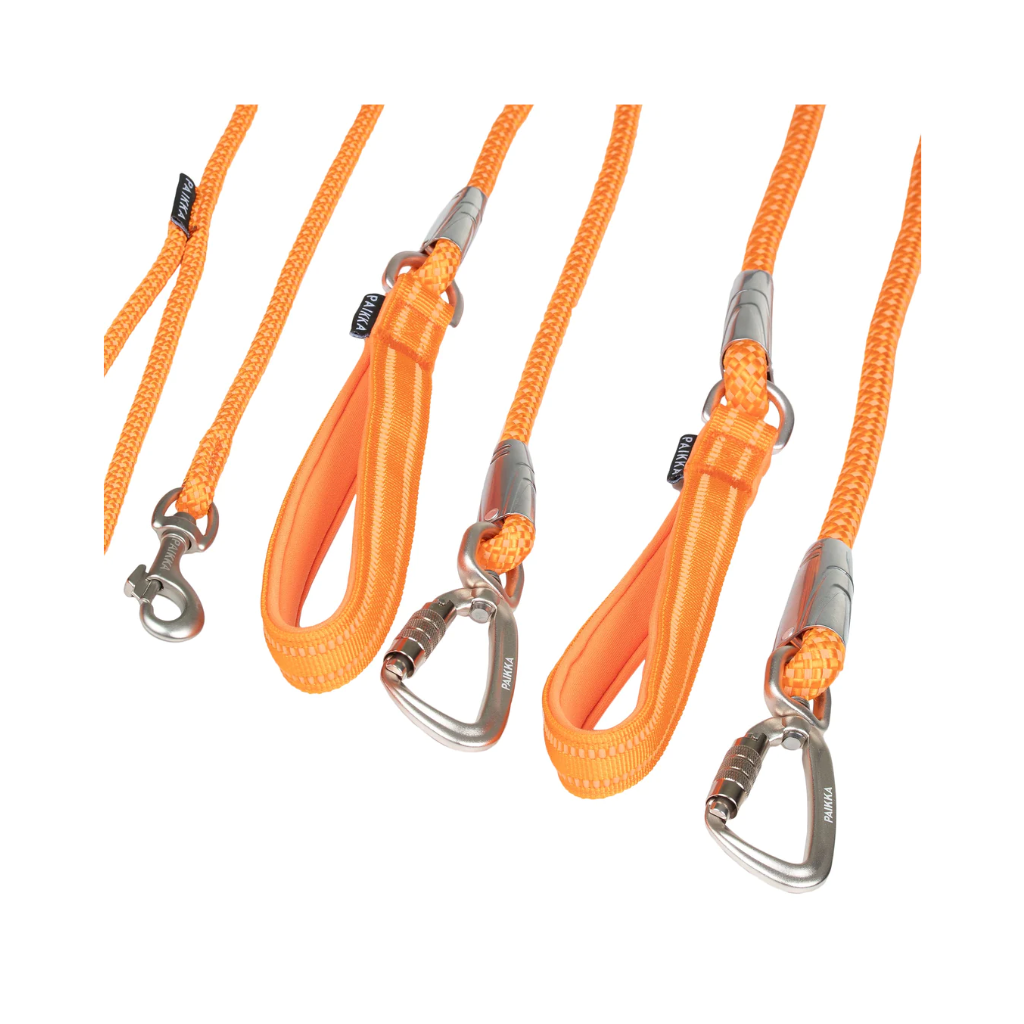 Schalufe & Karabiner Leine Visibility Rope Leash Orange - PAIKKA