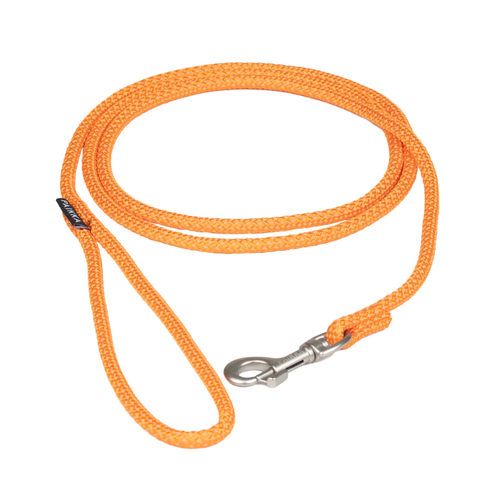 Leine Visibility Rope Leash Orange - PAIKKA