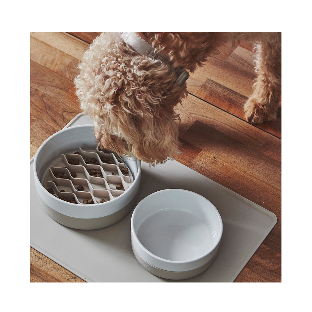 Hund an Napf mit MiaCara Lento Anti-Schlingeinsatz für Porzellannäpfe - MiaCara