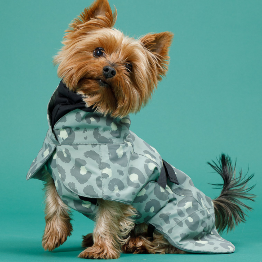 PAIKKA Hundewintermantel Visibility LEOPARD GREEN reflektierend