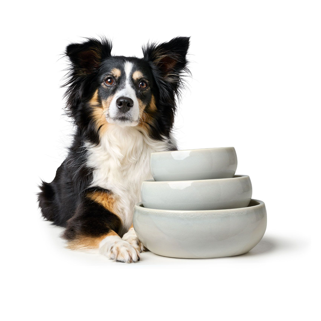 Hund vor Größenvergleich Keramik Napf Lisboa - HUNTER