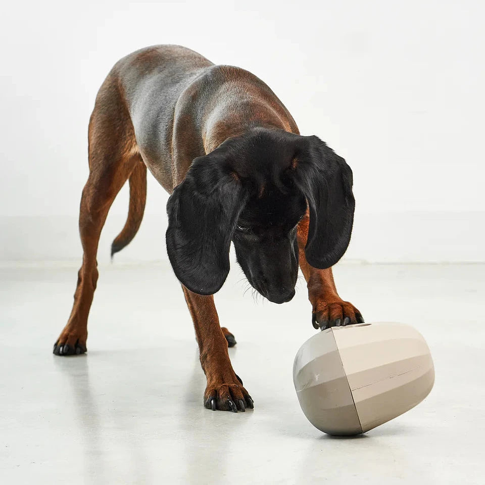 MiaCara Uovo Beschäftigungsspielzeug Greige