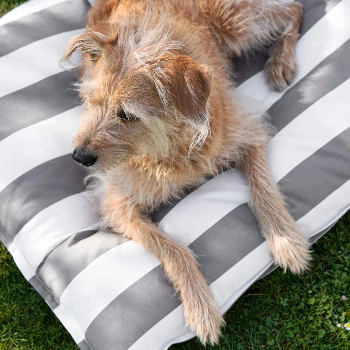 MiaCara Hundekissen Giardino Slim Outdoor Kiesel/White