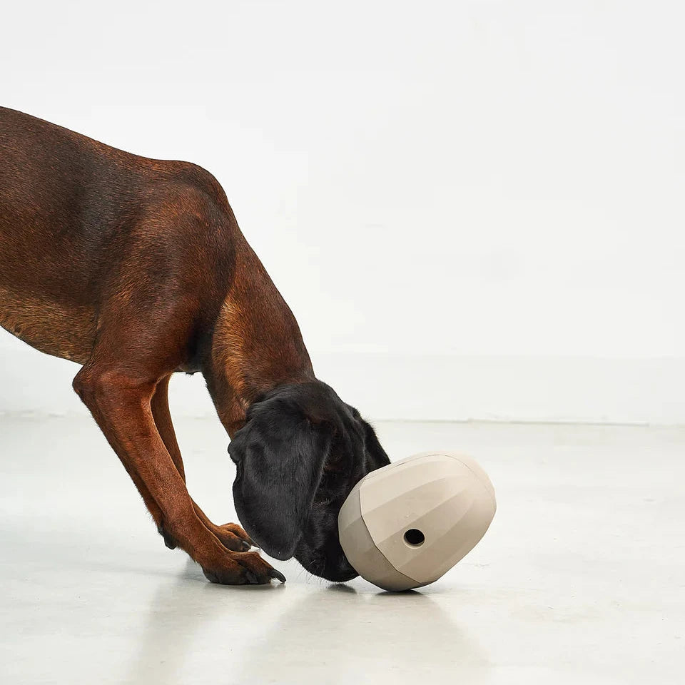 MiaCara Uovo Beschäftigungsspielzeug Greige