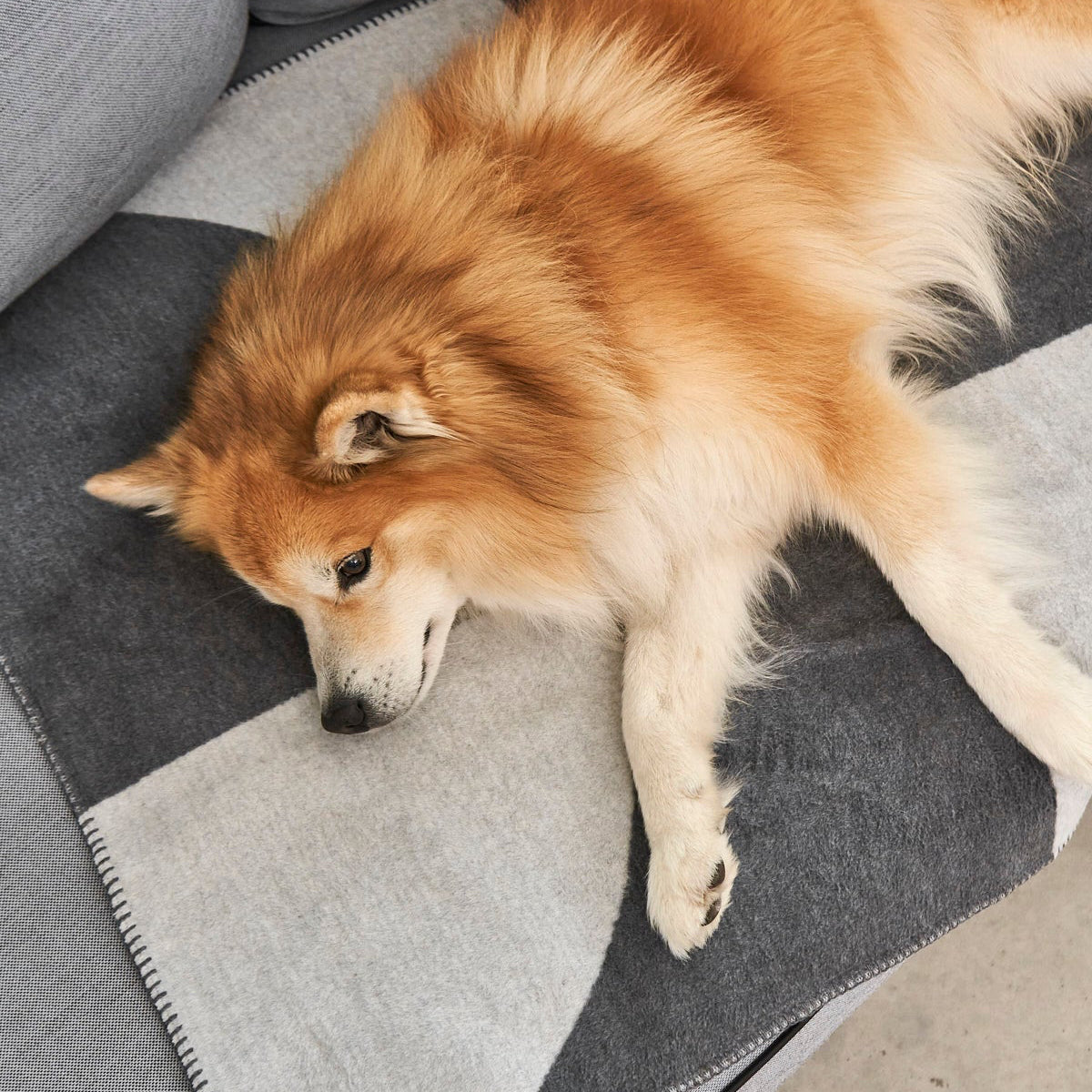 MiaCara Ponte Hundedecke Schiefer