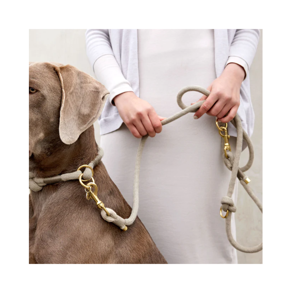 Moodbild Hundeleine & Halsband MILA geflochten Natur - Palopa