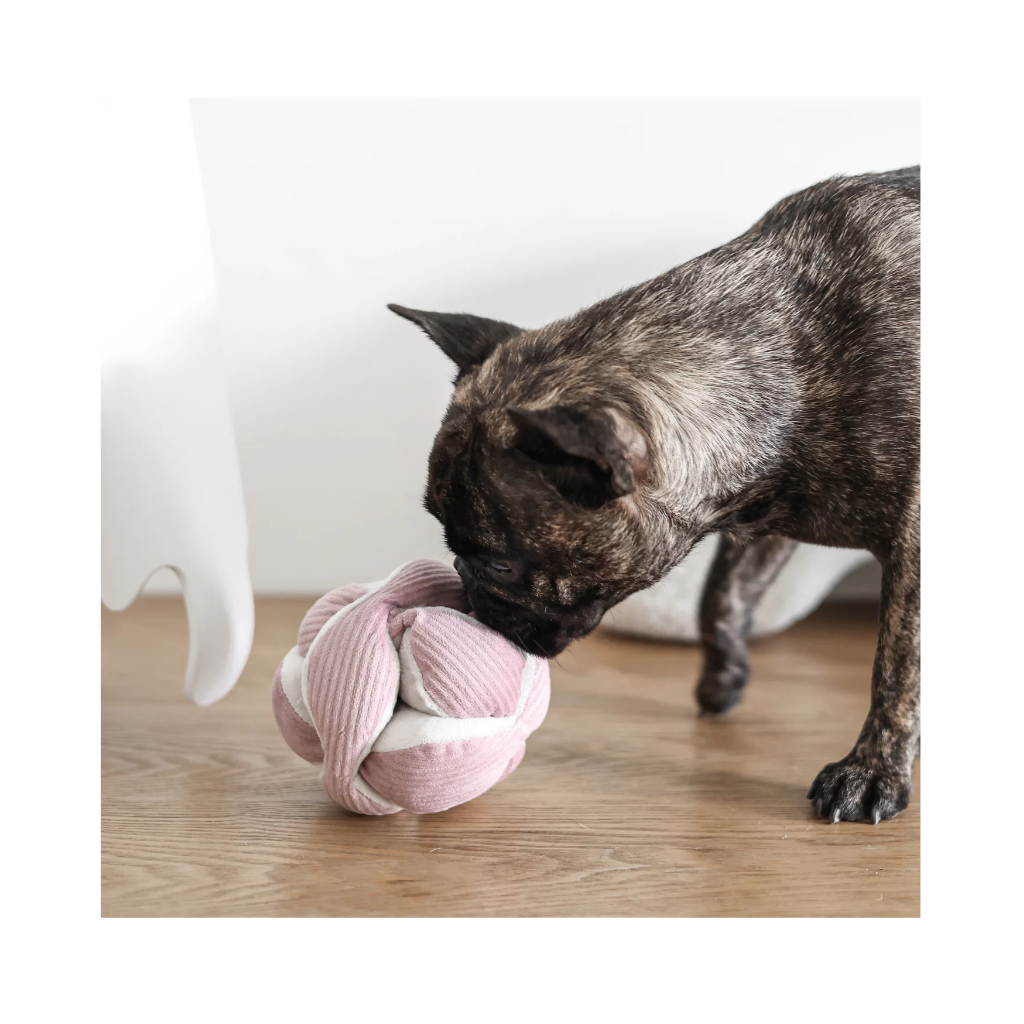 Frenchie mit Schnüffelball MONTI Hundespielzeug Cord Blush rosa - Lambwolf Collective
