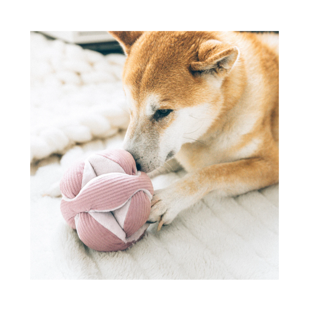 Hund mit Schnüffelball MONTI Hundespielzeug Cord Blush rosa - Lambwolf Collective