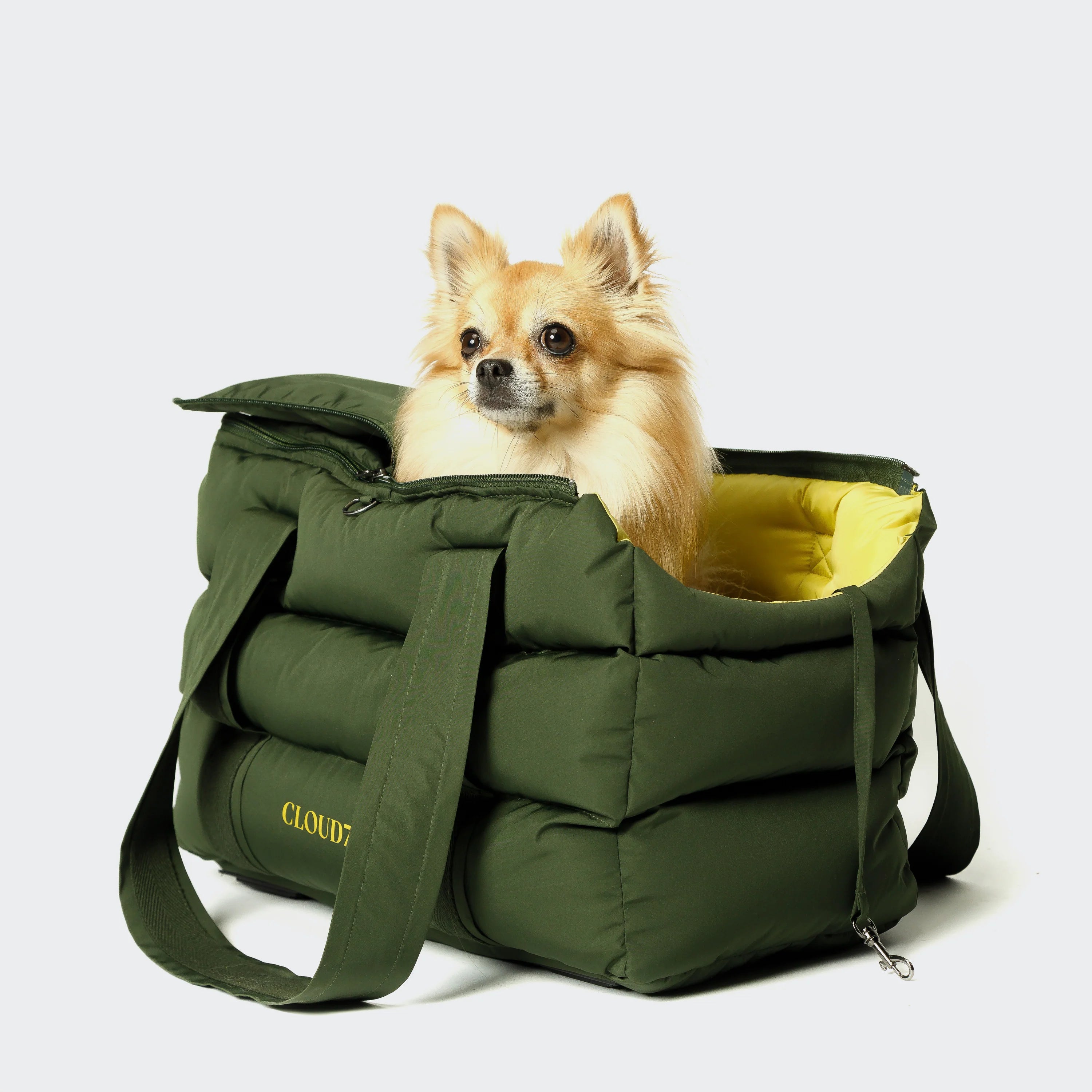 Hund in Cloud7 Hundetasche Montreal Olive 2024