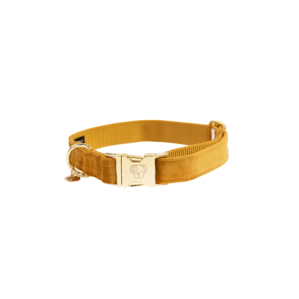 Halsband Velvet Mustard - Kentucky Dogwear