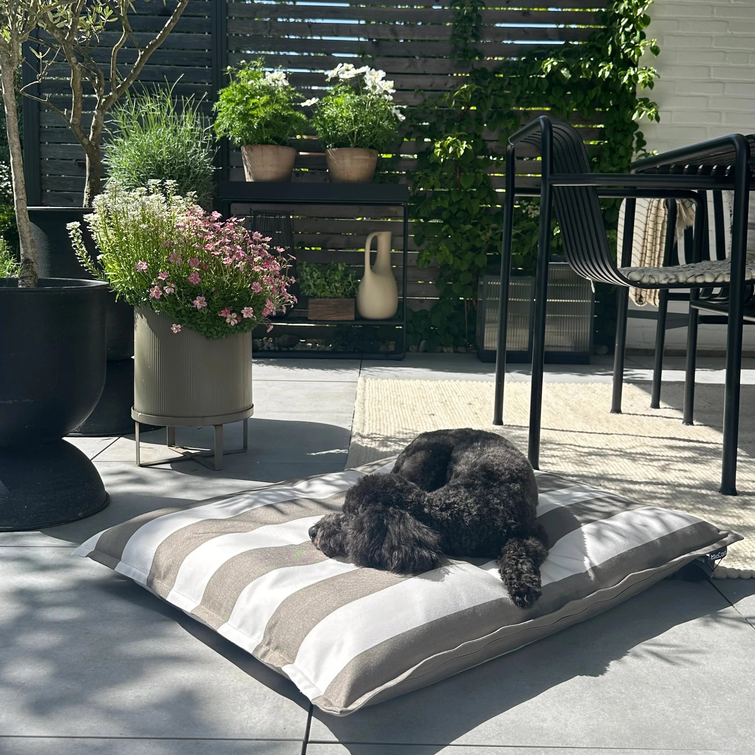 MiaCara Hundekissen Giardino Slim Outdoor Taupe/White
