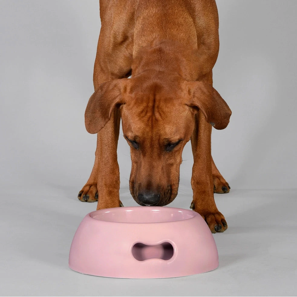 Designernapf Pappy DUSTY PINK