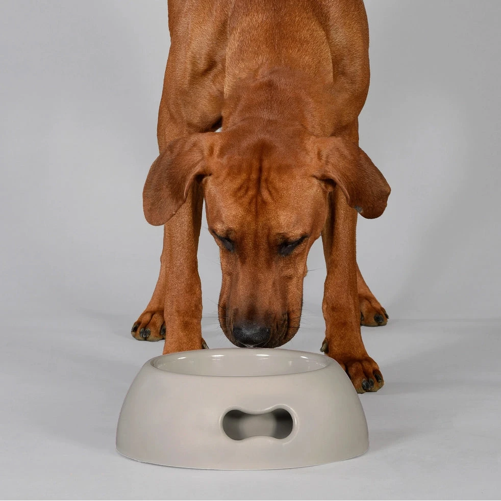 Designernapf Pappy TAUPE