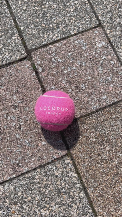 Cocopup London Tennisballhalter Reel - LOVIN'DOG