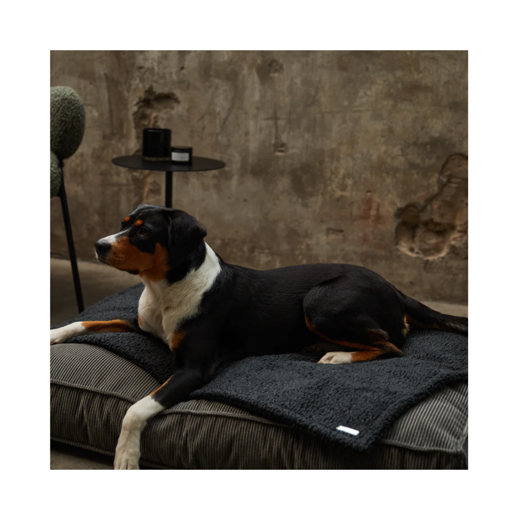 Hund auf Hundedecke RUBI aus Bouclé schwarz - Buciano