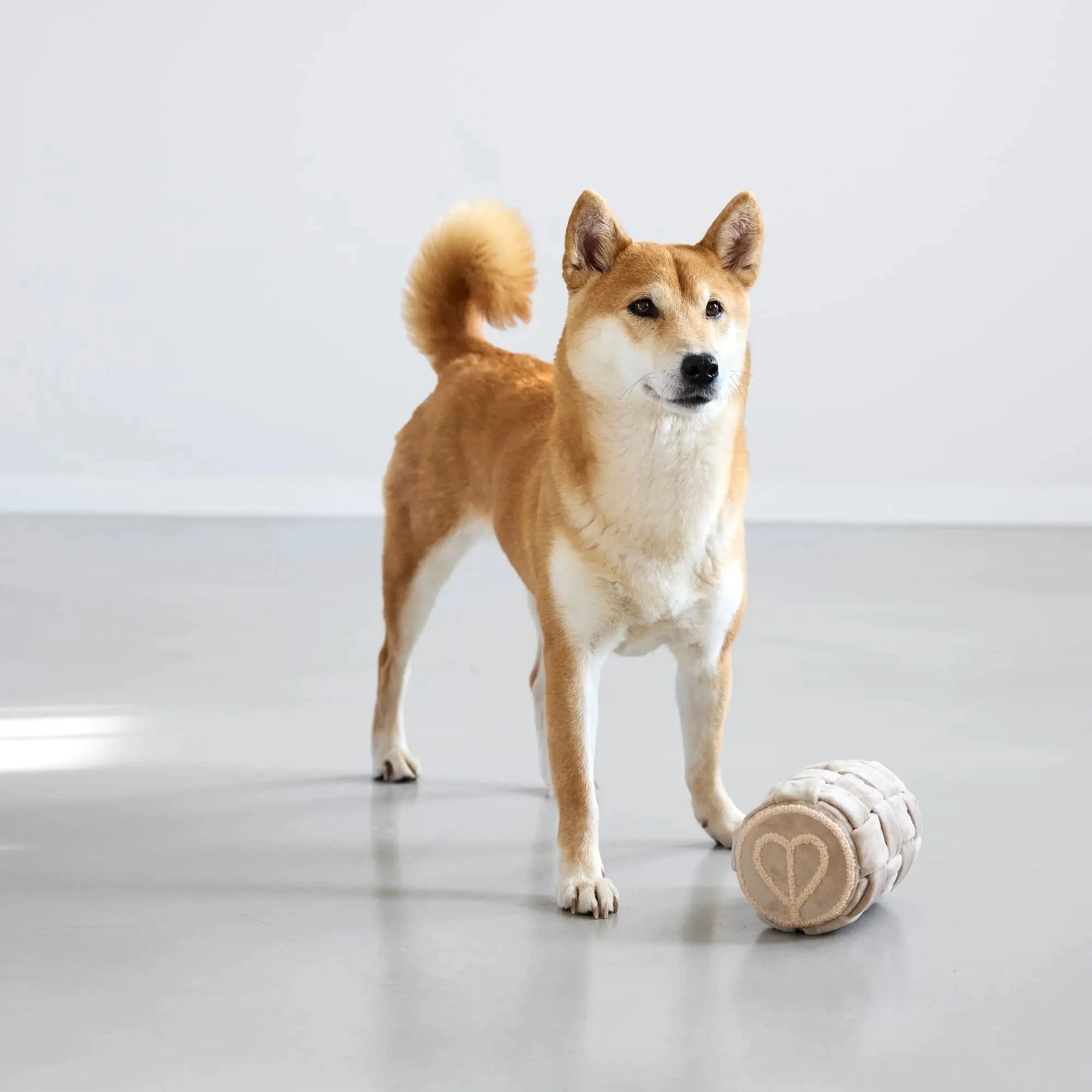 PALOPA Hundespielzeug KALPI Beige