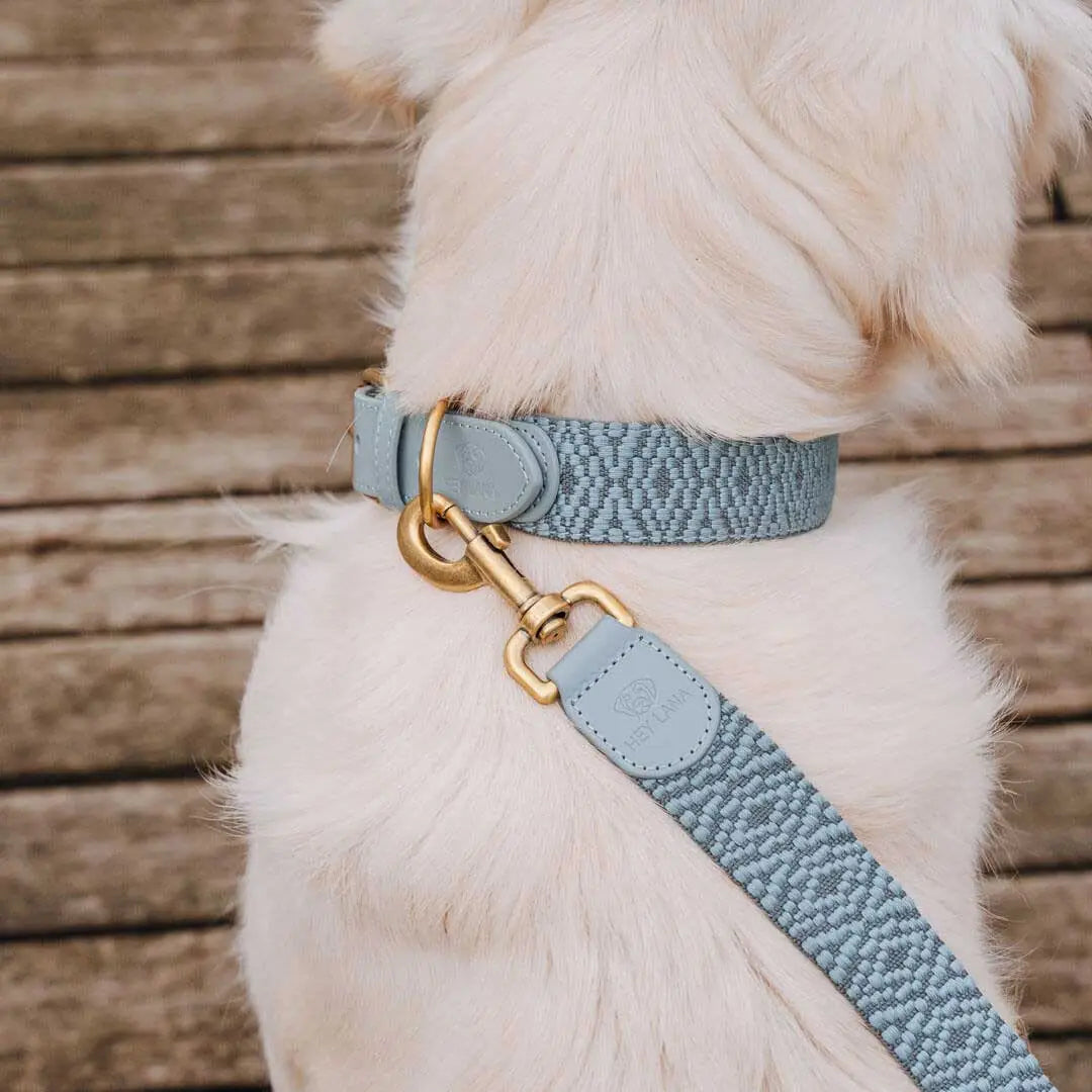 Halsband Blau Grau gepolstert