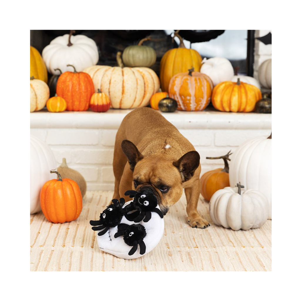 Hund mit Hundespielzeug Halloween "SKULL WITH SPIDERS" - PetShop by Fringe Studio