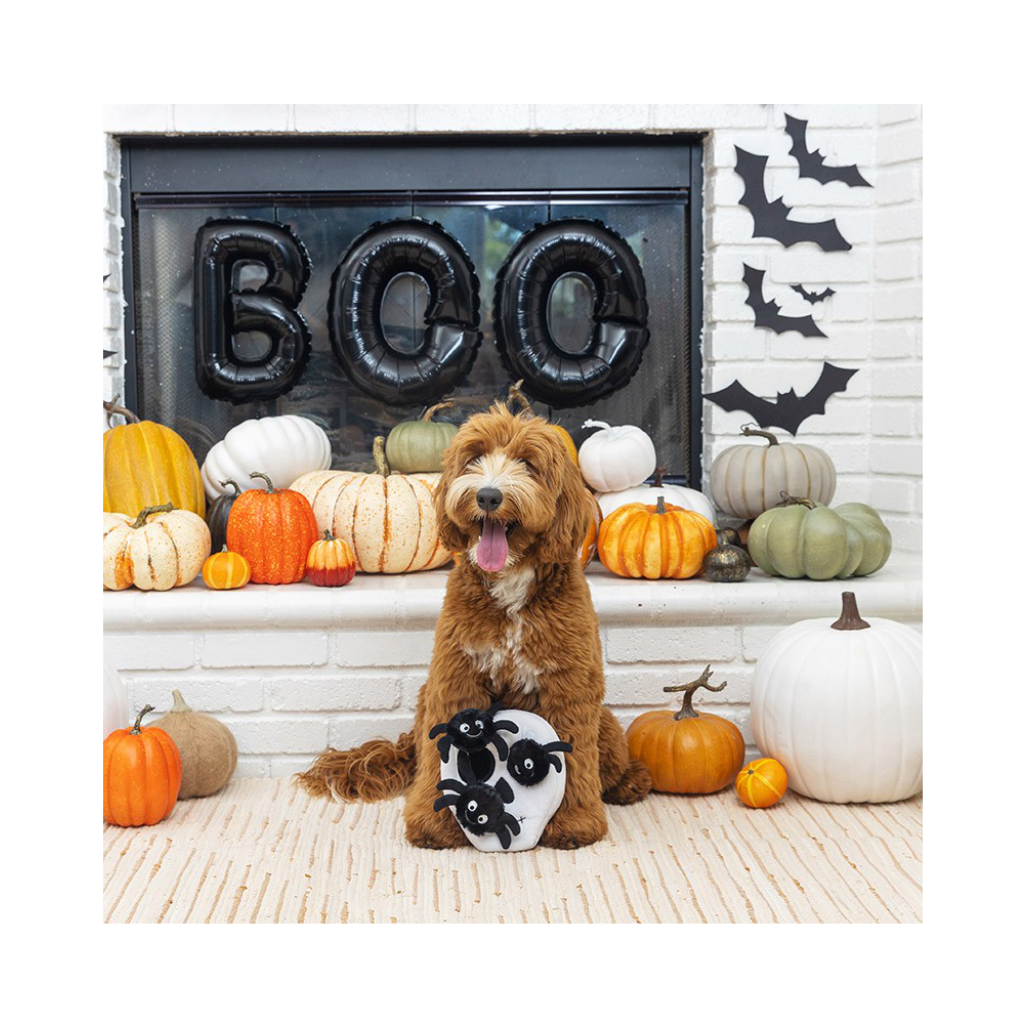 Hund mit Hundespielzeug Halloween "SKULL WITH SPIDERS" 2 - PetShop by Fringe Studio