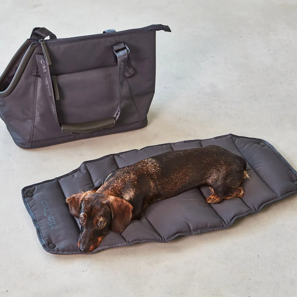 Hund neben MiaCara Hundetasche Sporta asphalt