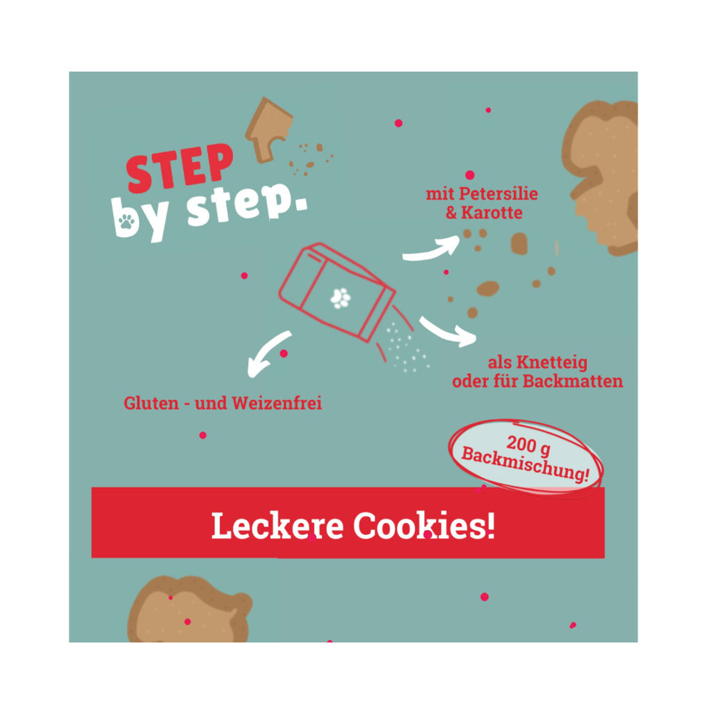 Cookie Kit für Hundekekse DIY step by step - BeG Buddy