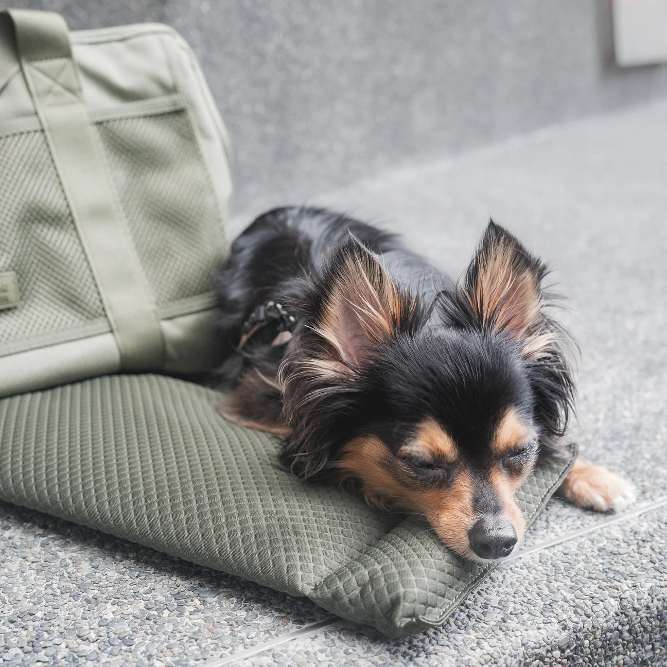 Hundetasche Subway oliv fawn