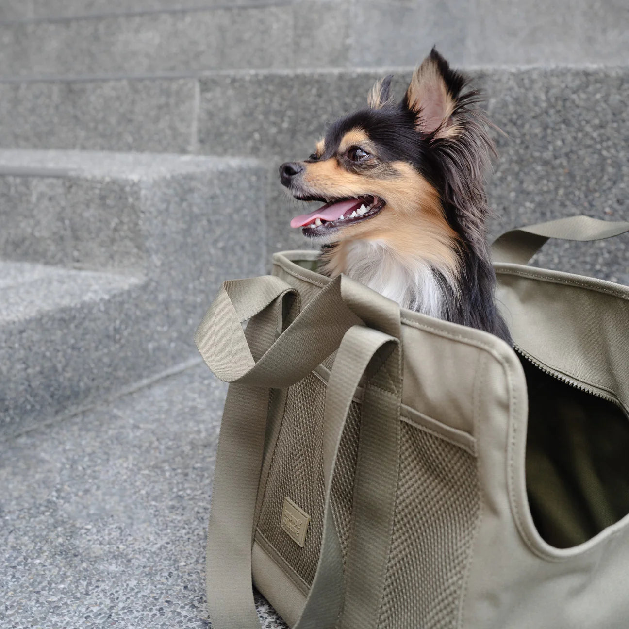 Hund in Hundetasche SUBWAY Olive fern - lambwolf collective