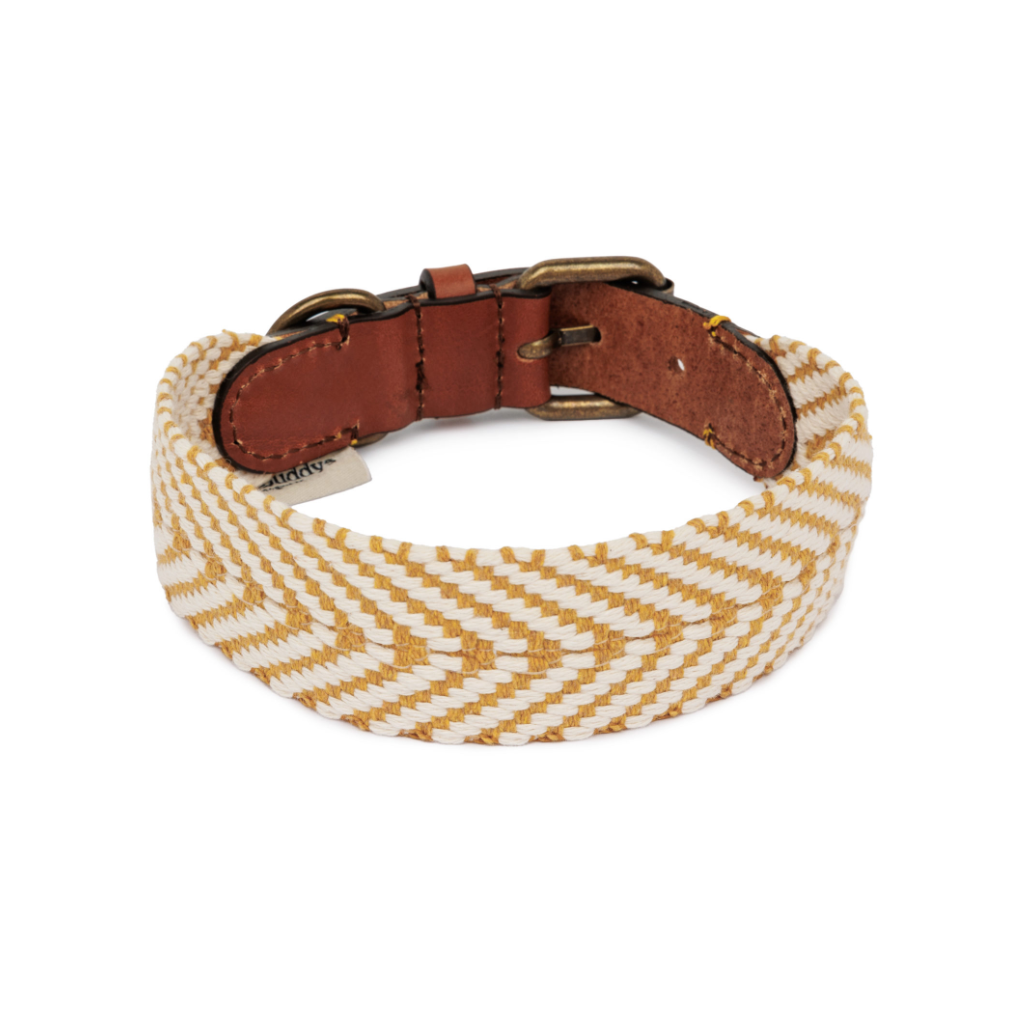 Musterung Halsband Portixol Sun - Summer Edition - Buddys Dogwear