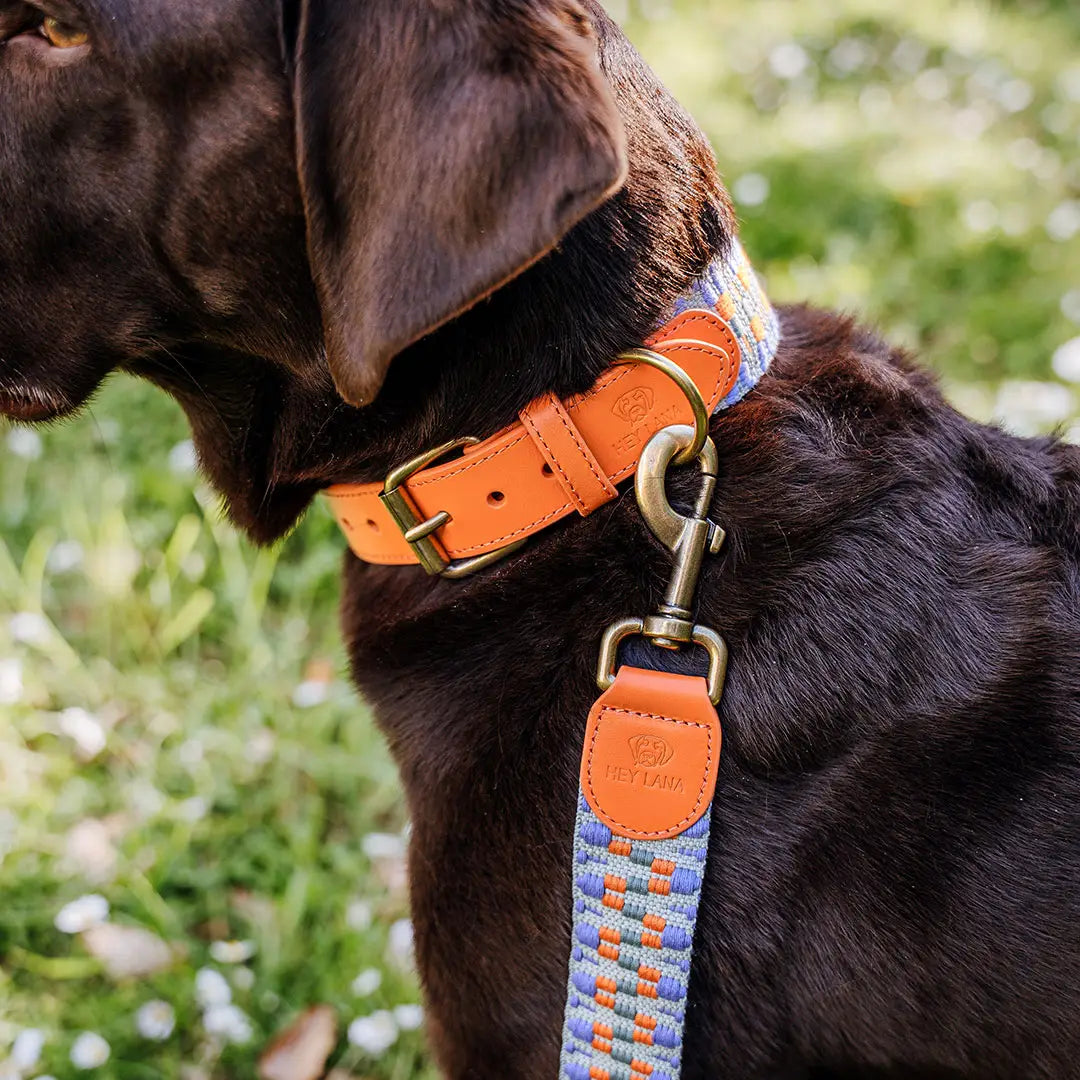 Halsband Premium Sunset Eukalyptus gepolstert