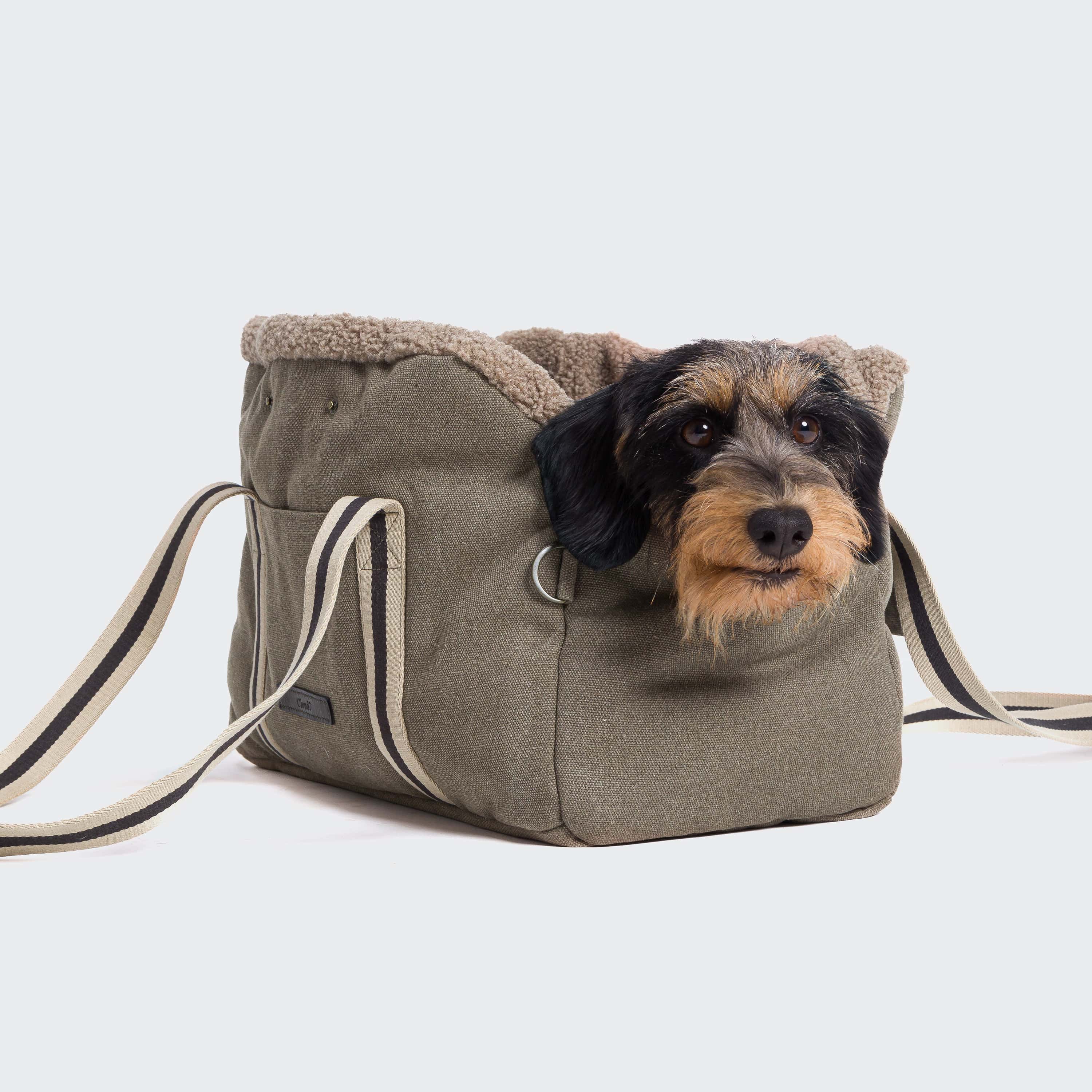 Hund in Cloud7 Hundetasche Lucca Canvas Sand