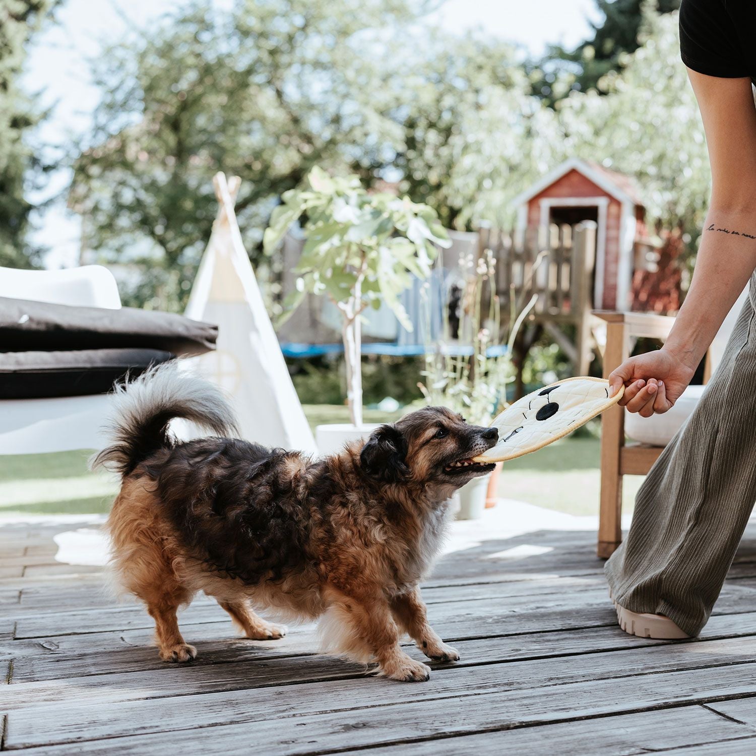 Hund mit Hundespielzeug Koloa John Lemon - HUNTER