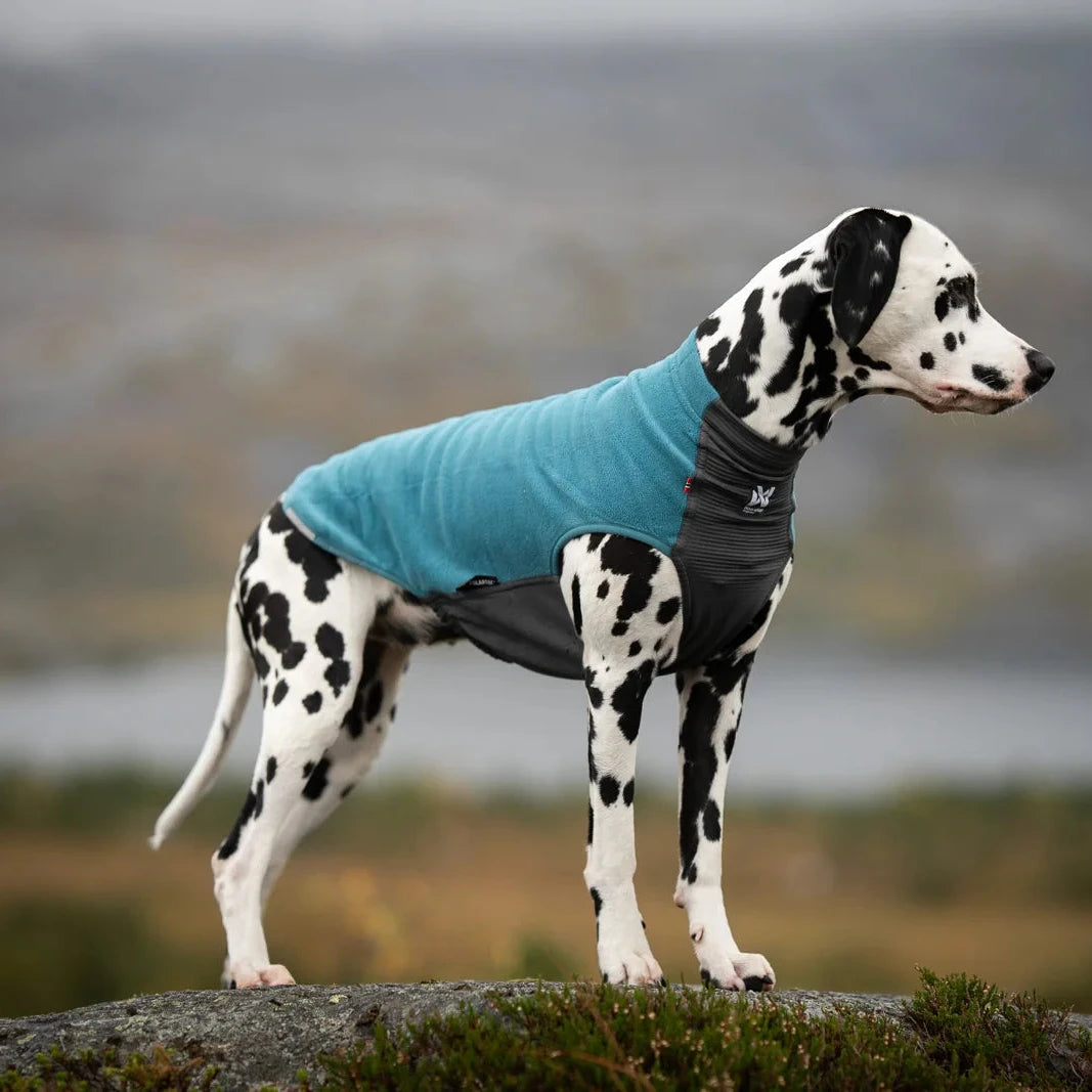 Trail Quest Fleece Pullover Teal