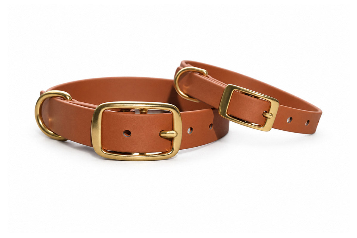 Treusinn Hundehalsband Biothane STAY Braun