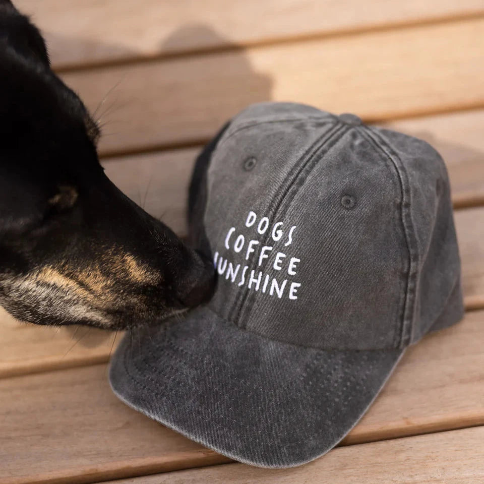 Dekobild Cap DOGS COFFEE SUNSHINE Vintage Denim Black - Lieblingspfote