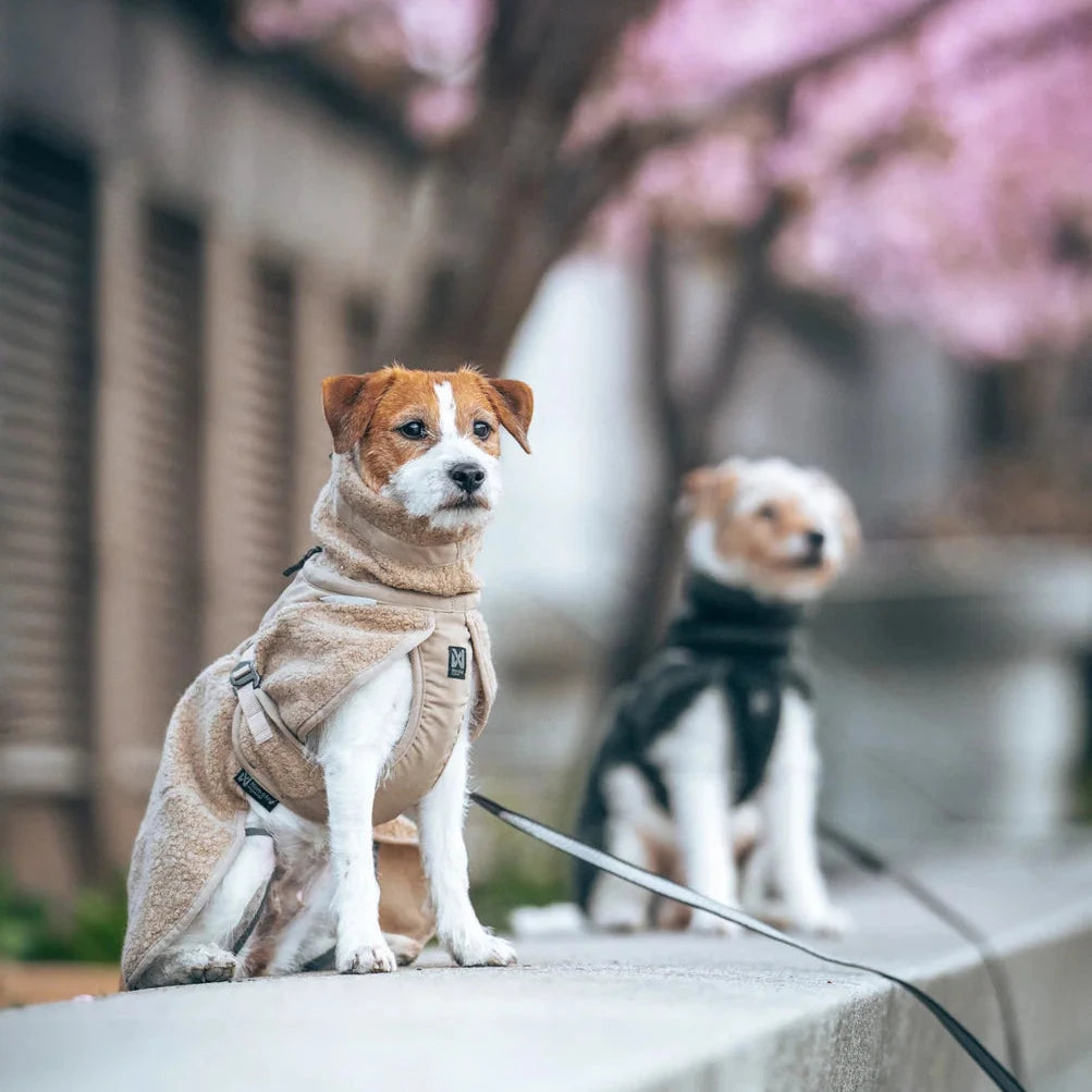 Hundemantel Wool Dog Jacket Sand