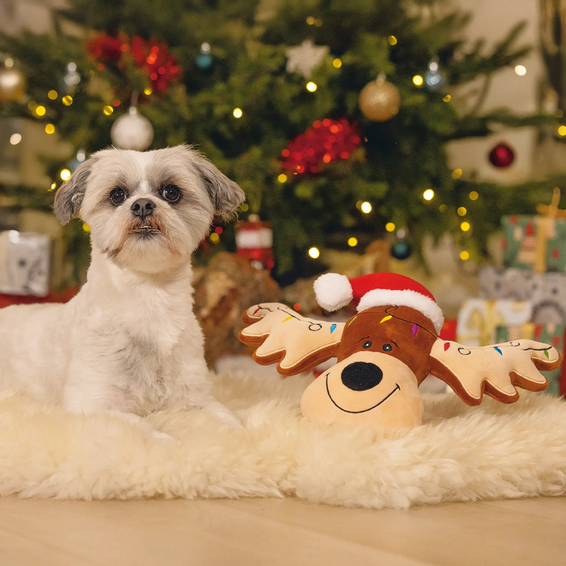 Hundespielzeug RUDOLF Rentier X-MAS