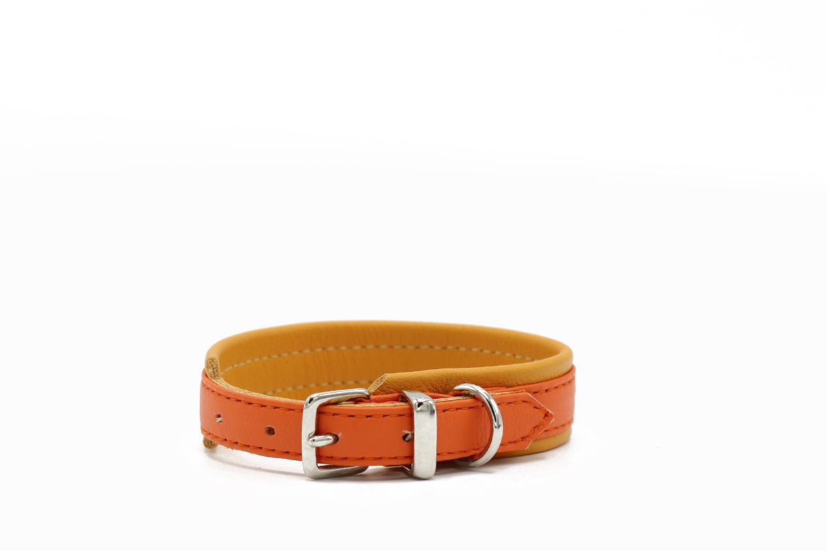 Halsband SPRING BREAK Orange