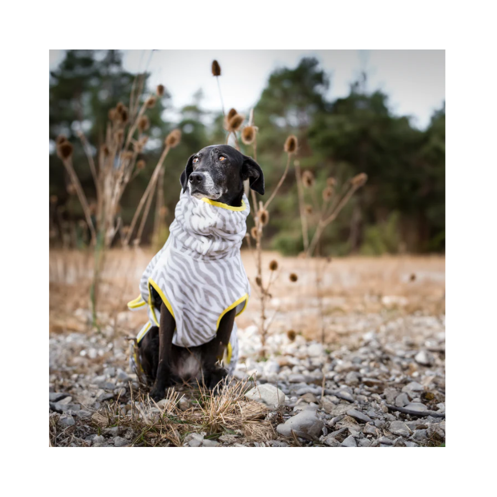 Tragebild Hund mit Hundebademantel ZEBRA - Lumiies